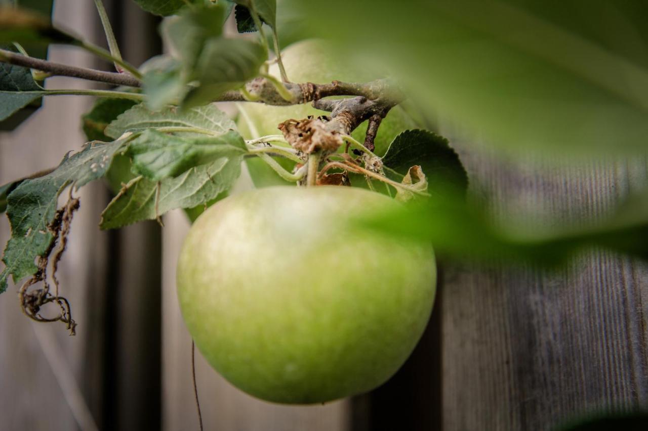 Apartmán De Greenhouse Amsterdam Exteriér fotografie